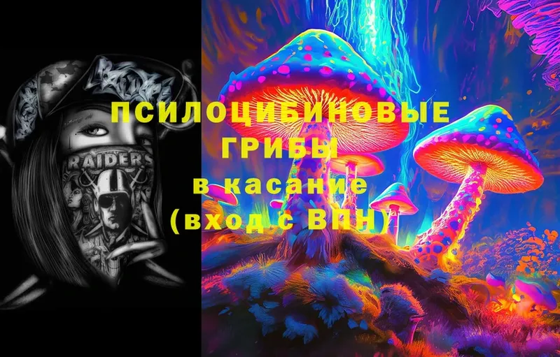 hydra зеркало  Борзя  Псилоцибиновые грибы MAGIC MUSHROOMS  даркнет сайт 